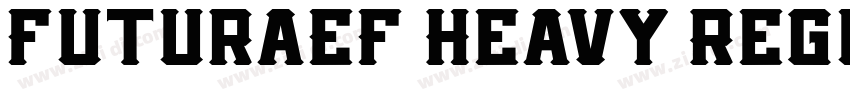 FuturaEF Heavy Regul字体转换